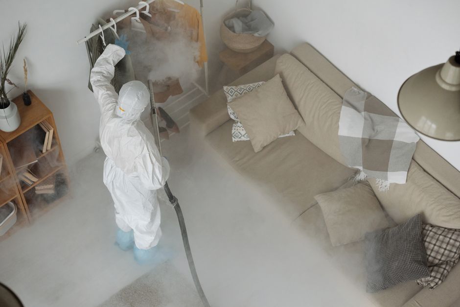 Steam cleaning carpet